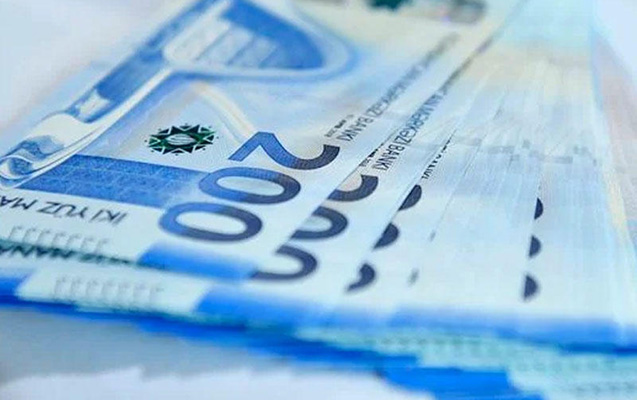 11 ayda vətəndaşlara 292,7 milyon manat geri qaytarılıb