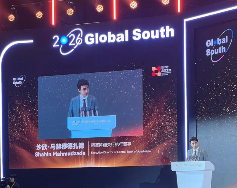 Şahin Mahmudzadə: “Davamlı maliyyə üçün inkişaf etməkdə olan ölkələrin əməkdaşlığı vacibdir”