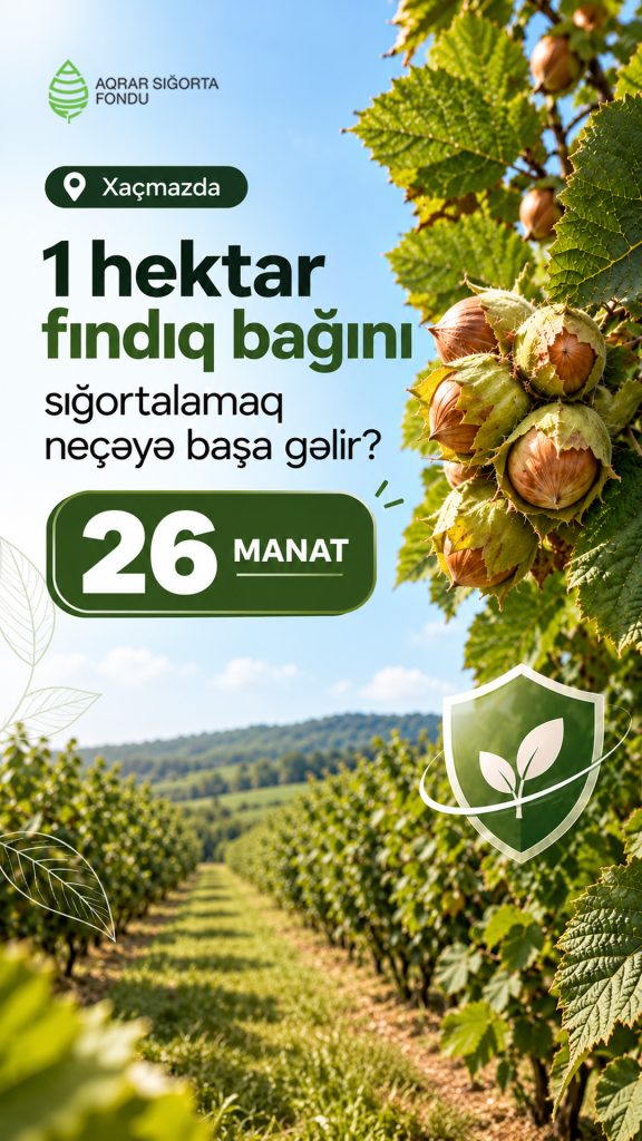 Xaçmazda 3 600 manatlıq fındıq məhsulunu təxminən 26 manata sığortalamaq mümkündür